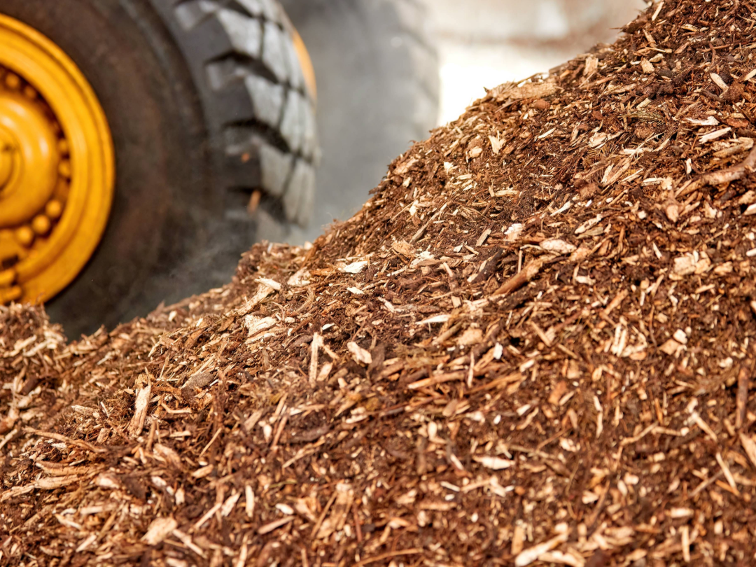PE_Wood_Biomass