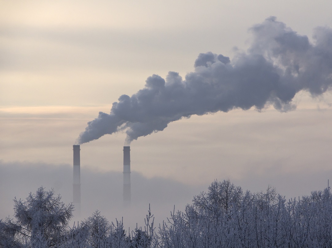 Carbon Reduction.jpg