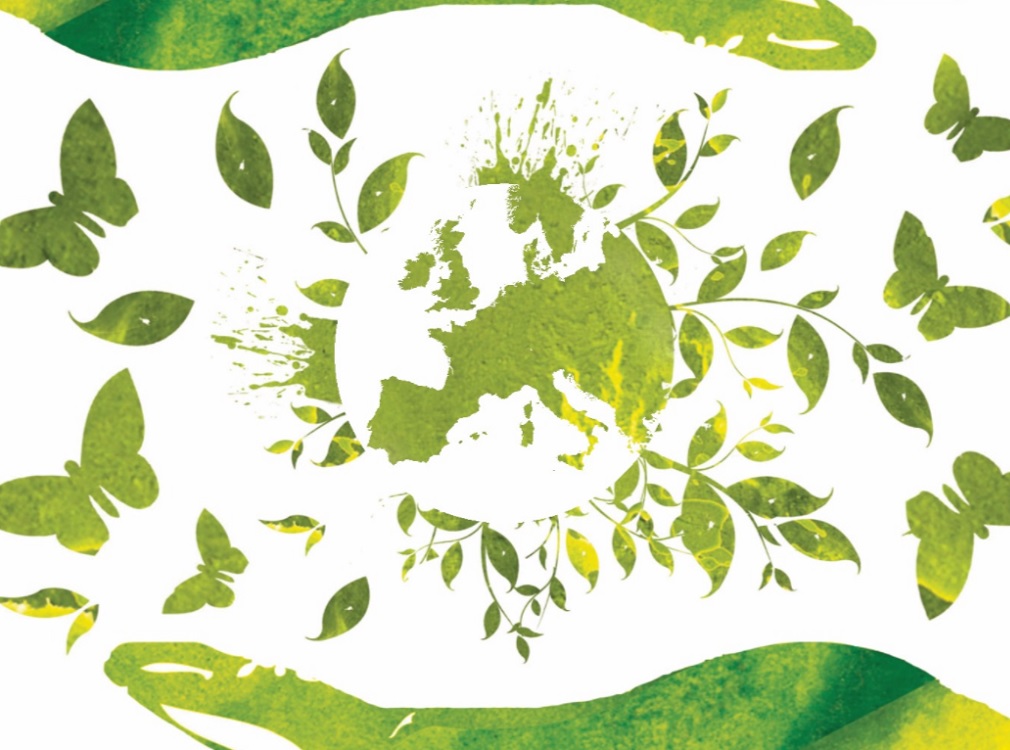cover 12.4 detail.jpg