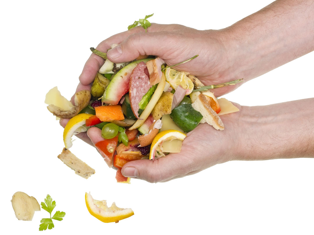 savefood1.jpg