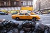 PE_NY_Bin_Bags