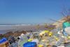 brillopak1003181.jpg