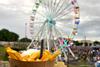 traceless fries pickers
