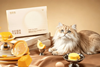 PE_Amcor_Cat_Food