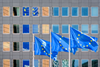 PE_EU_Flags (24)