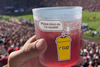 PE_r.Cup