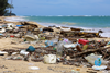 PE_Plastic_Pollution_on_Beach