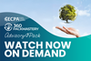on-demand-webinar-2
