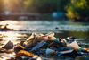 PE_Plastic_In-River