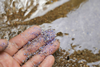 PE_Microplastics (2)