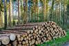 shutterstock_2610428531-2