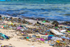PE_Waste_on_Beach (3)