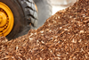 PE_Wood_Biomass