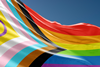 PE_Progress_Flag