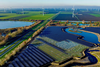 PE_Unilever_Energy