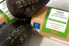 PE_Tesco_Avocados