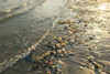 PE_Beach_Pollution