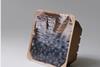 IMG-4-e1767192843454-2