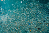 PE_Plastic_Waste_In_Ocean