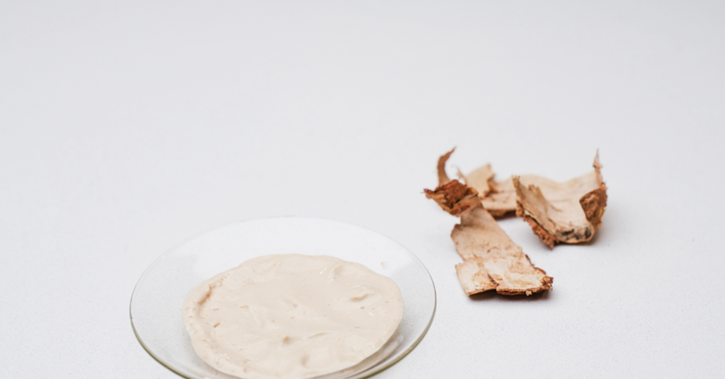 Birch bark converted into moisture, grease and oxygen barrier for paper packs