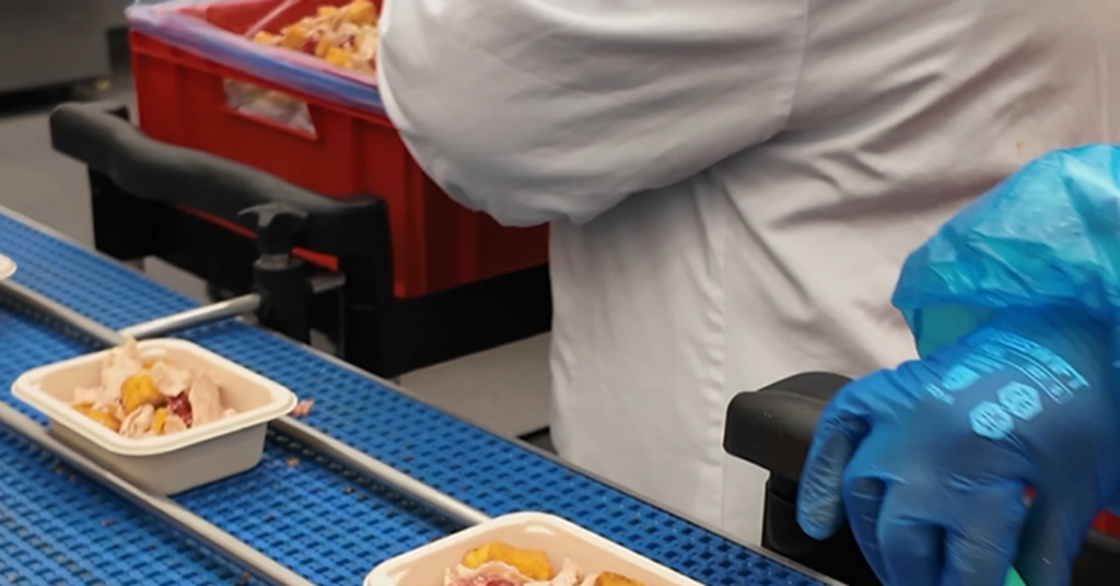 School meals served on domestically compostable trays in ‘first’ for Ireland