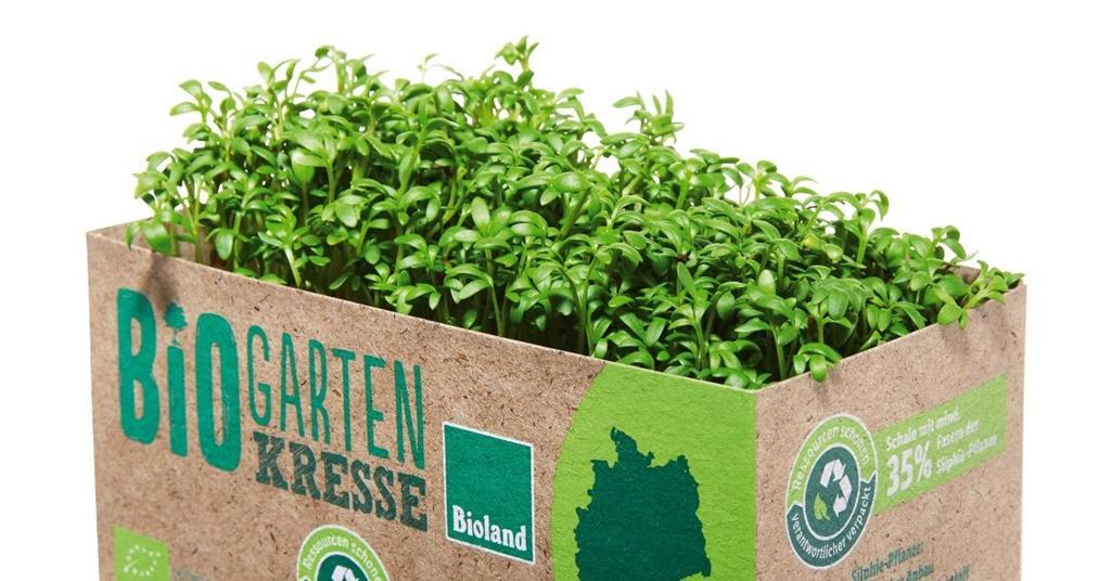 German supermarket introduce vegetables | | packaging for chains silphie Article Europe fruit and to Packaging