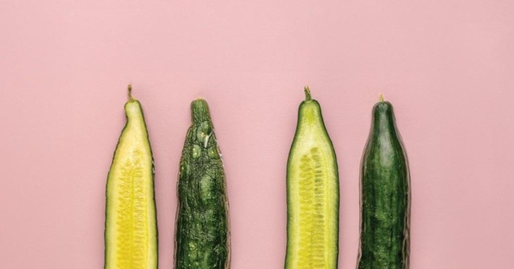 Saveggy secures €1.76 million to preserve cucumbers with plant-based coatings