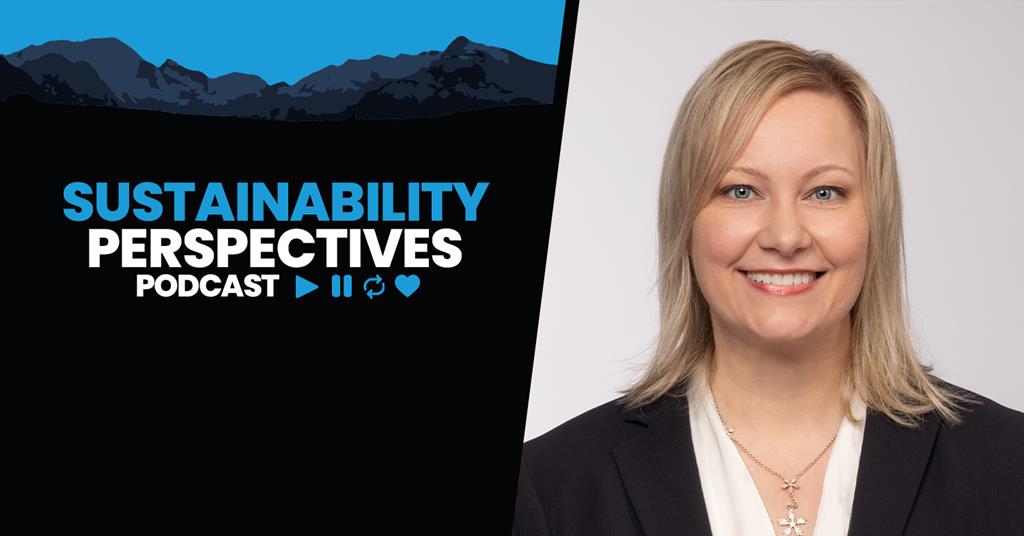 Sustainability Perspectives: Fibre-based packaging and circularity