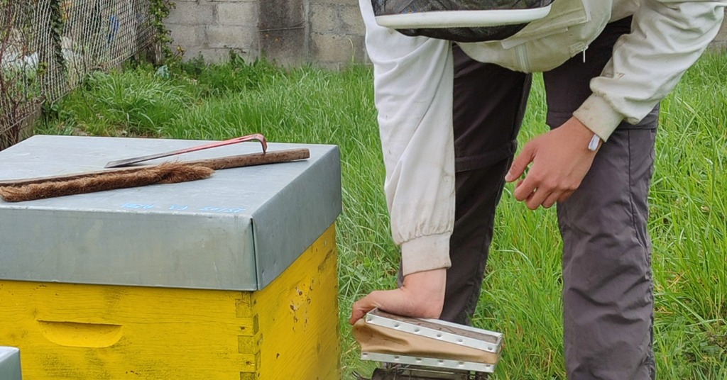 Bees track biodiversity and impacts around DS Smith’s packaging facilities