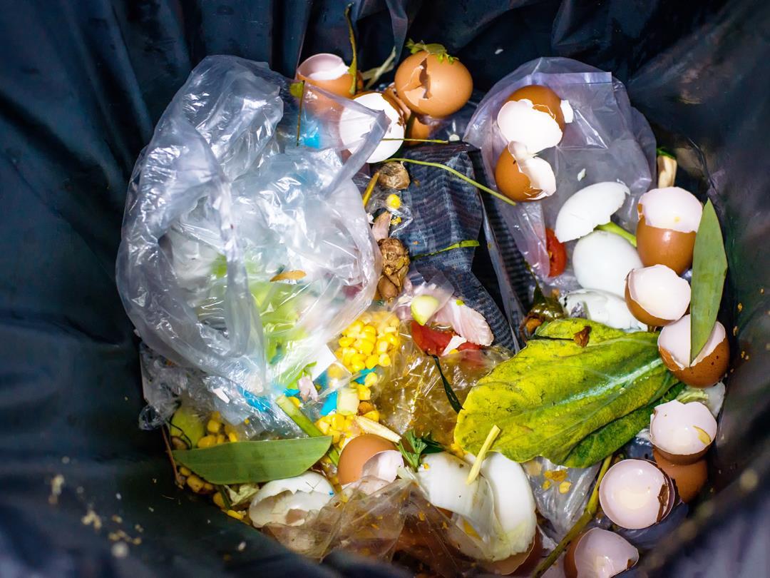 Food waste vs packaging waste Striking a balance Article Packaging