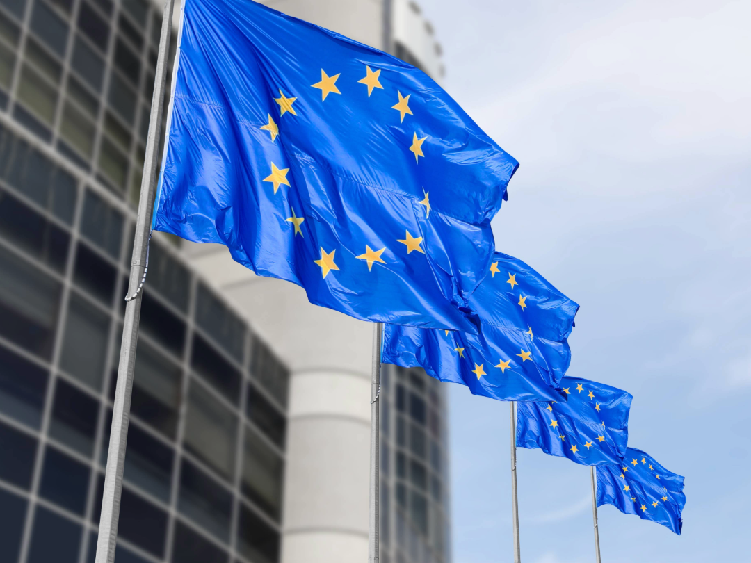 PE_EU_Flags (13)