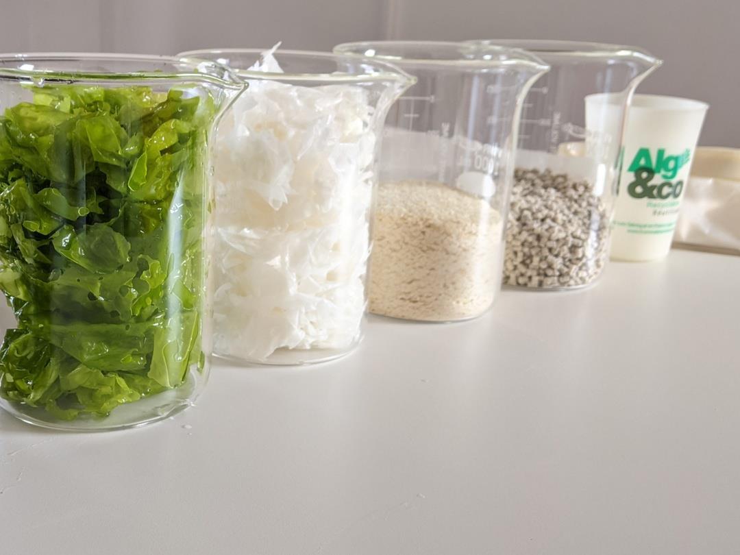 PE_Seaweed_Packaging