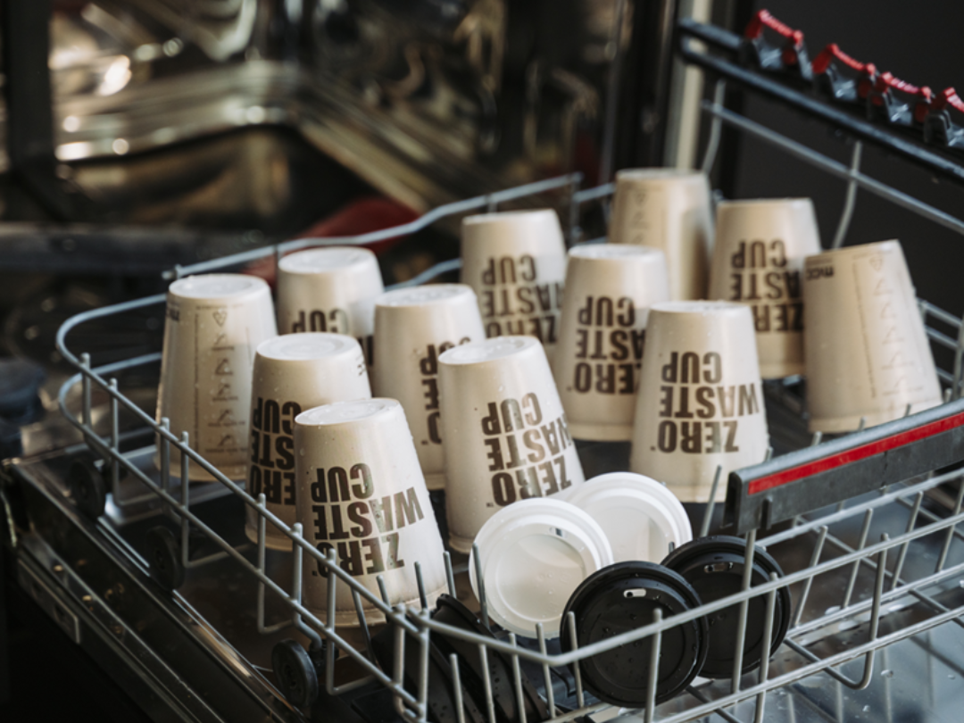 PE_Zero_Waste_Cups