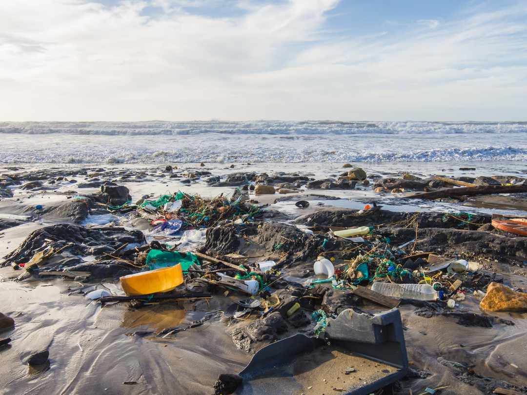PE_Beach_Pollution (2)
