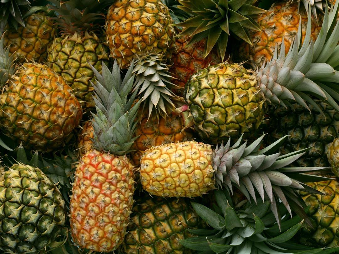 pineapple-04.05