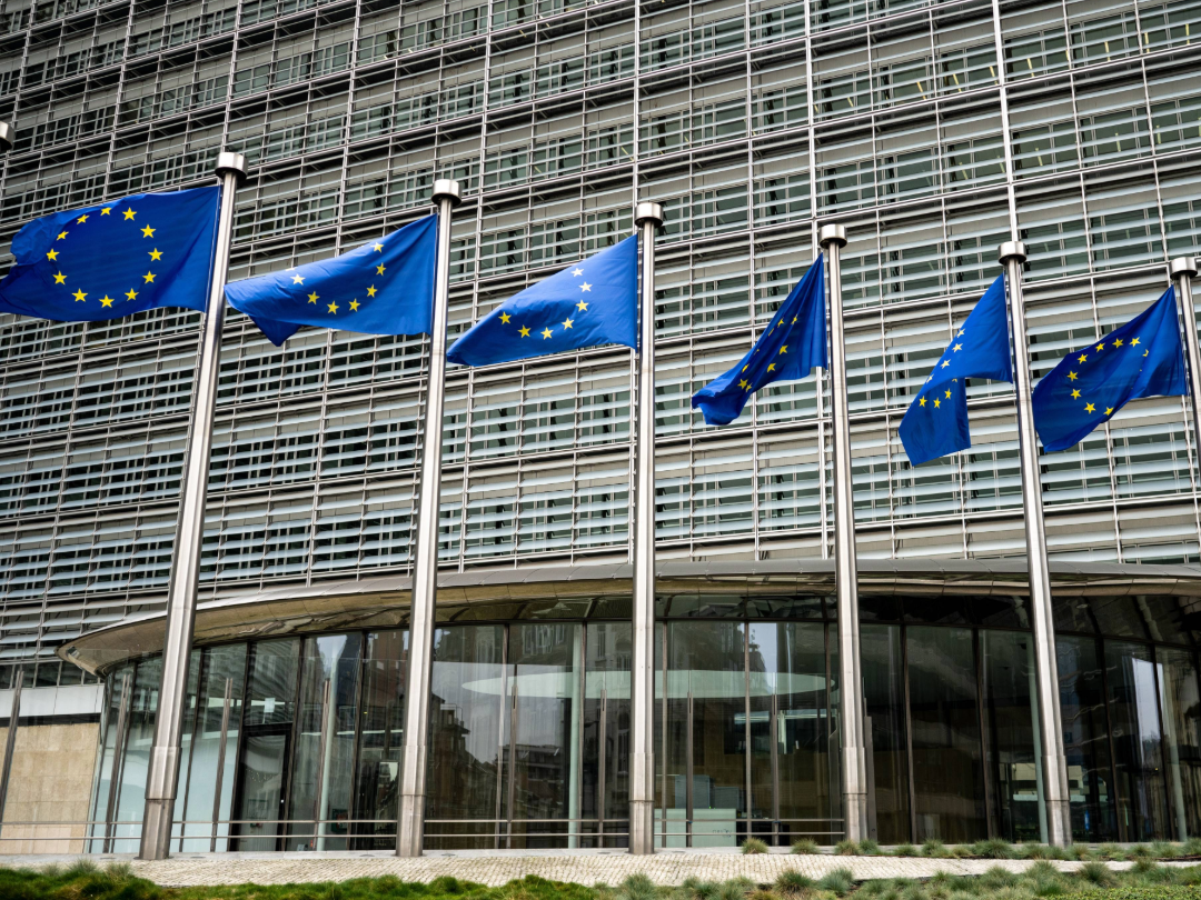 PE_EU_Flags (15)