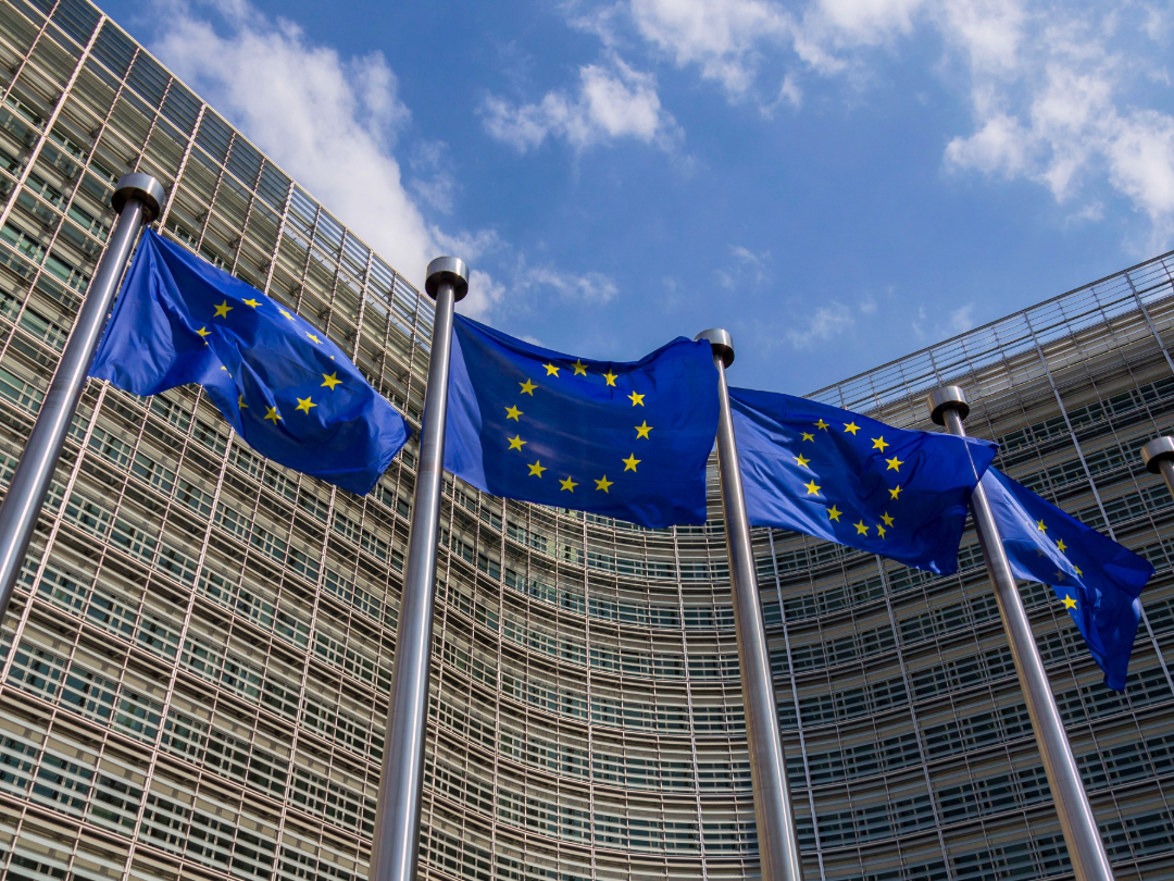 PE_EU_Flags (16)