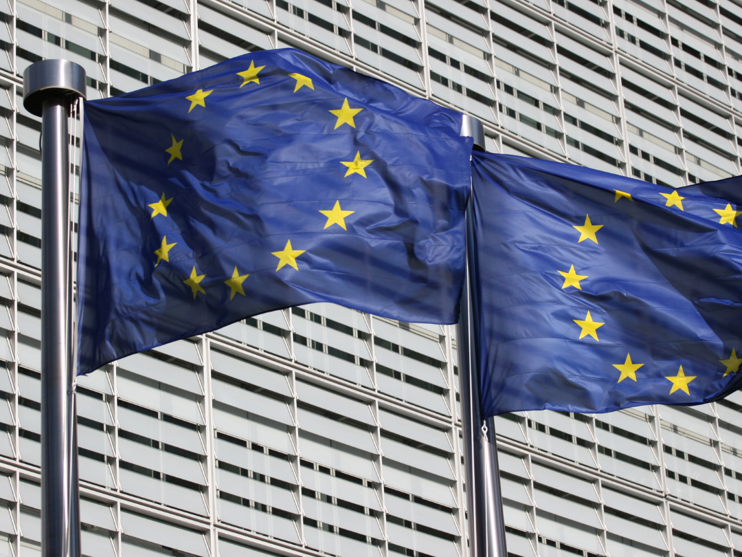 PE_EU_Flags (17)