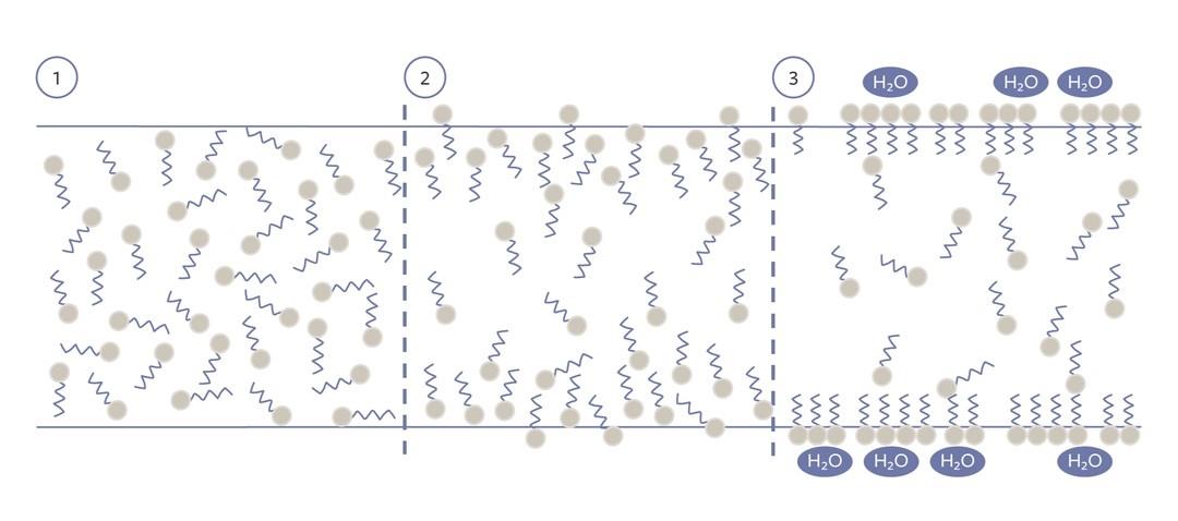 figure1matrix