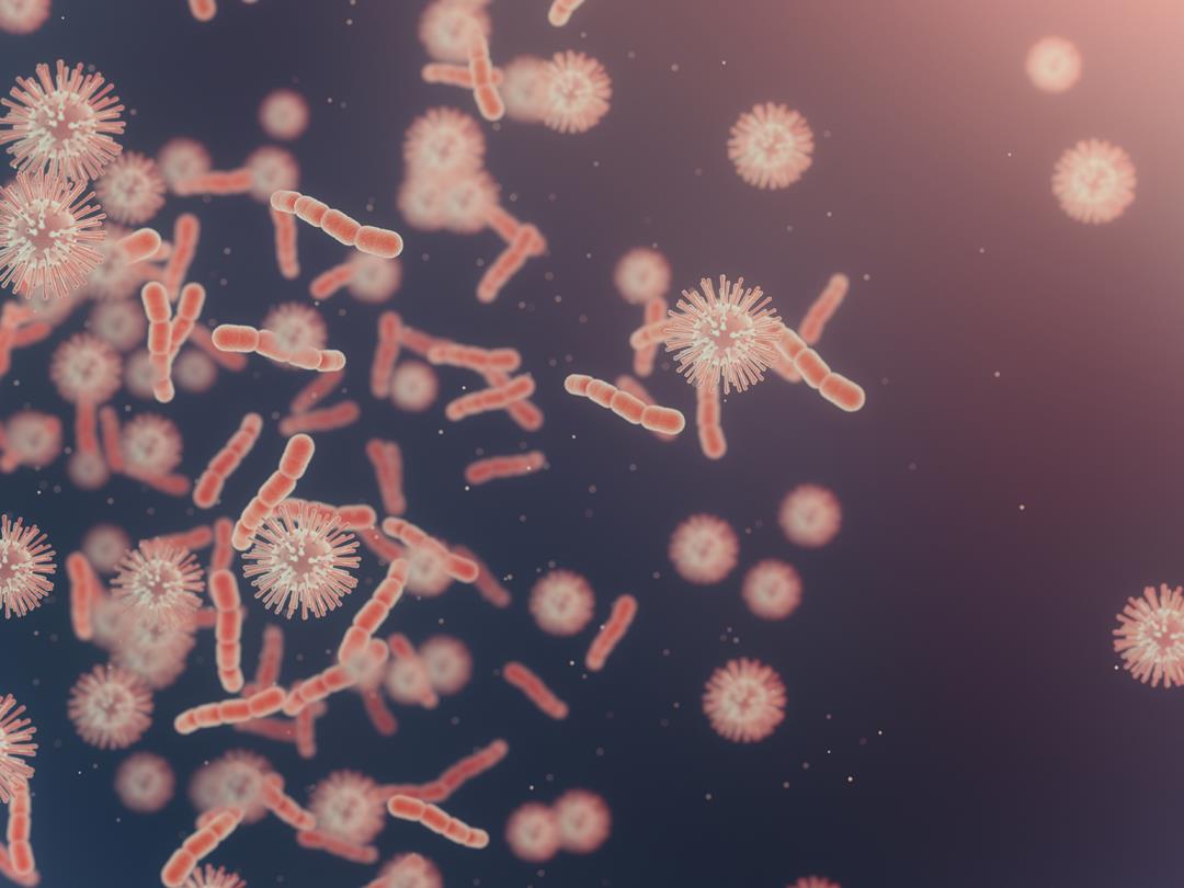 microbe