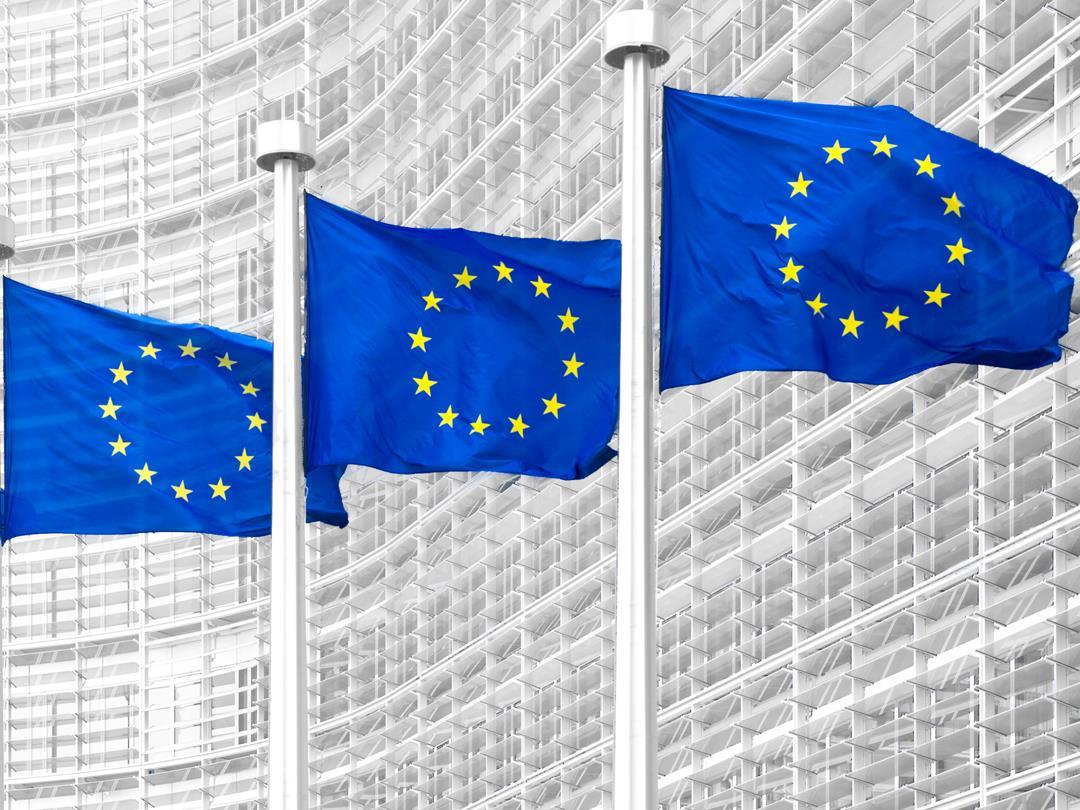 EU flags resized.jpg