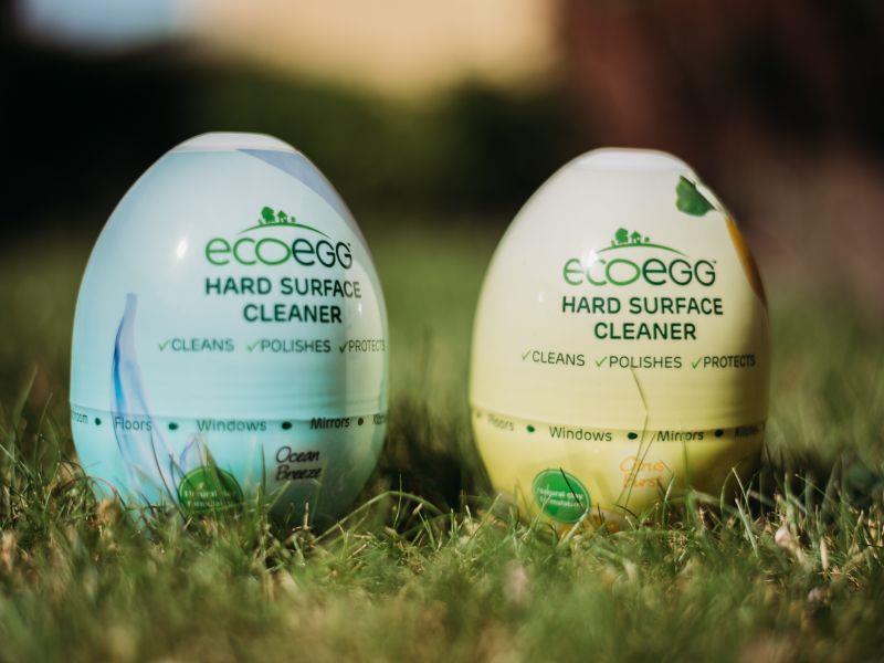 ecoegg290518.jpg