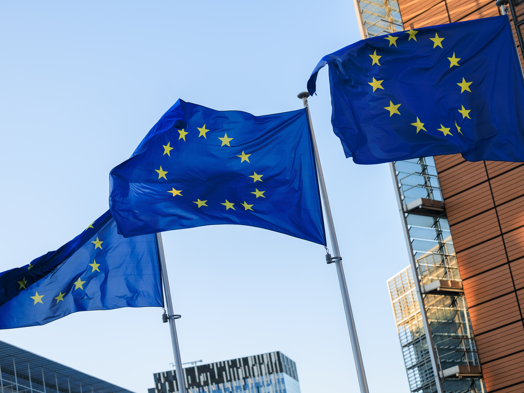 PE_EU_Flags (6)