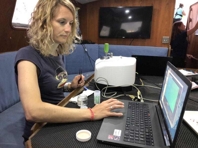 exxpedition05022102.jpg