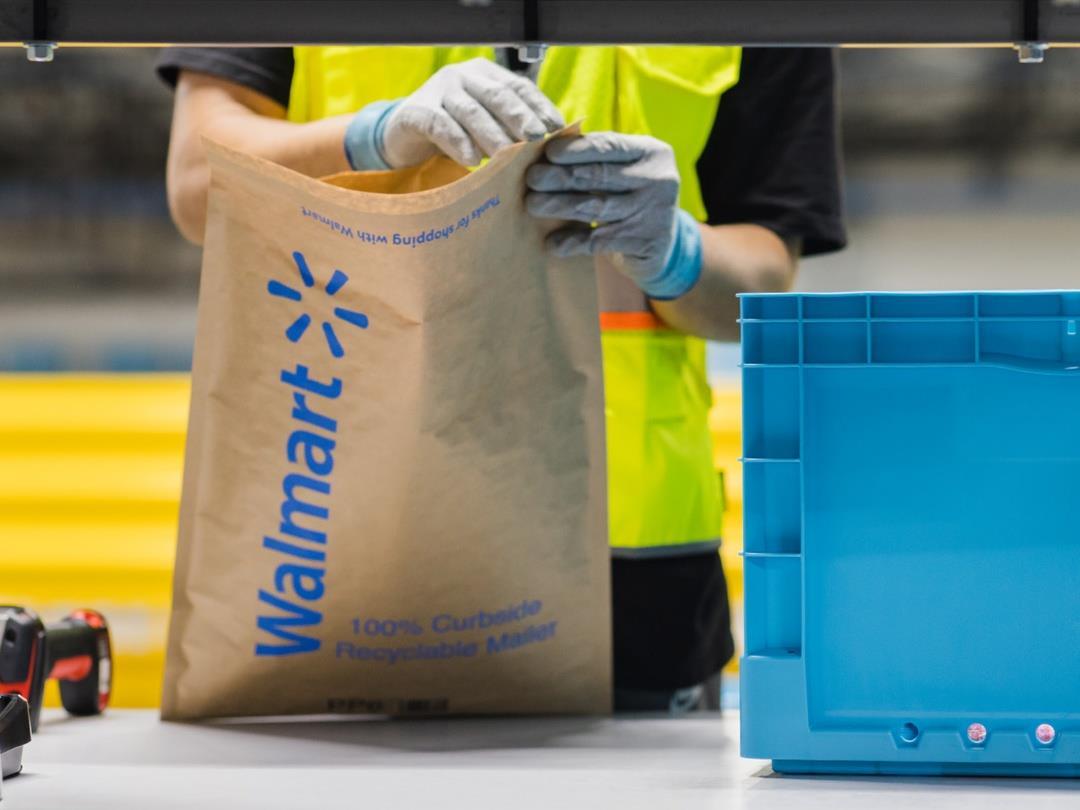PE_Paper_Bag_Walmart