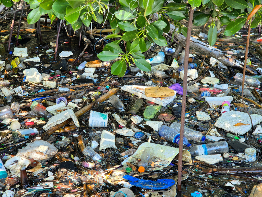 PE_Waste_in_Nature