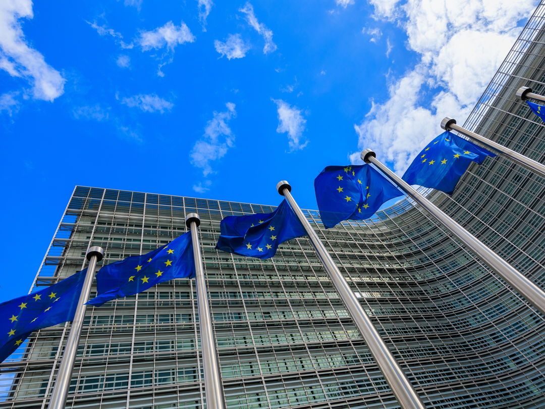 PE_EU_Flags (7)