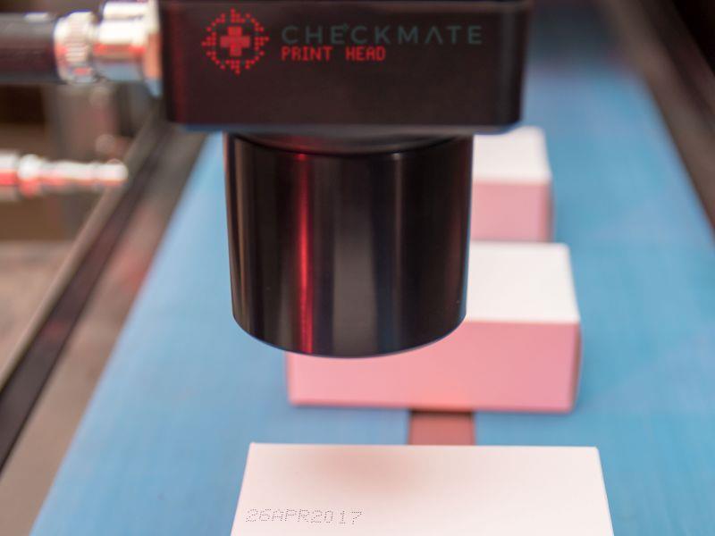 checkmatevision200717.jpg