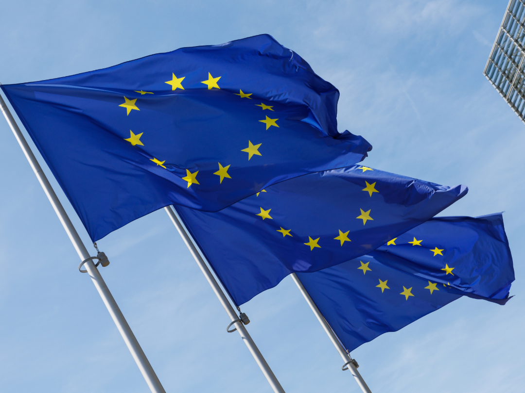 PE_EU_Flags (18)