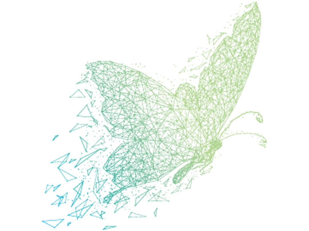 TerraCode-Icon-Bfly-NO-TEXT2.jpg